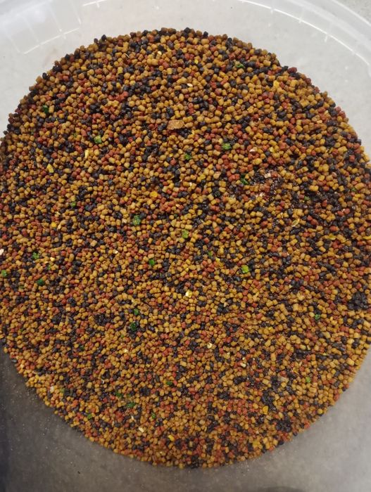 Pellet ananas multicolor + przynęty i akcesoria wędkarskie
