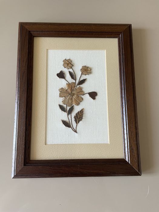 Quadros típicos do alto Alentejo, em casca de castanha