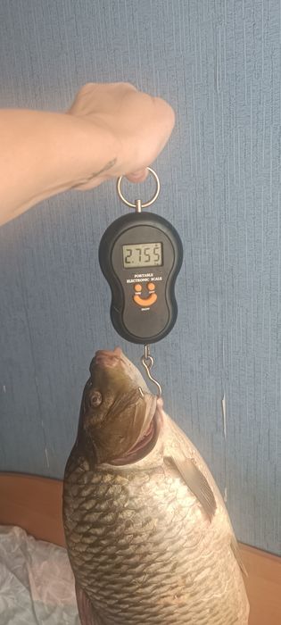 Бойлы ручной работы 100+5 шт