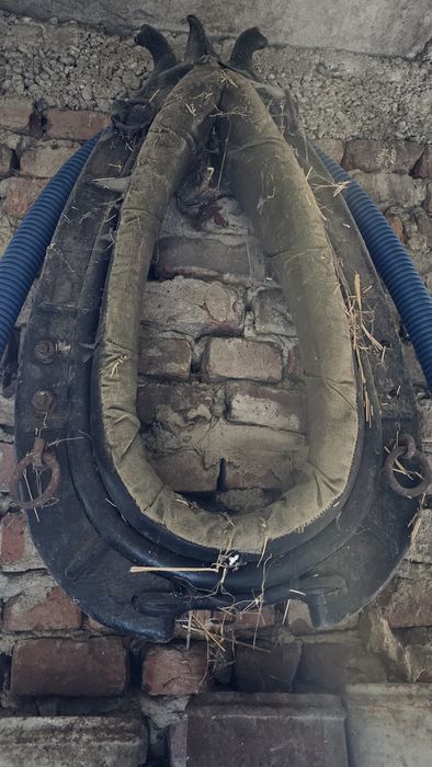 Stare dobre homonto uprząż do konia antyk