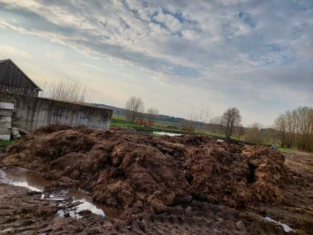 Obornik bydlęcy z transportem, szybka realizacja
