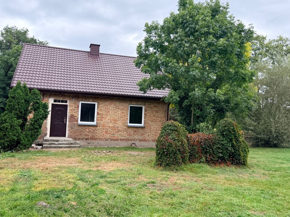 Wynajmę dom z działką