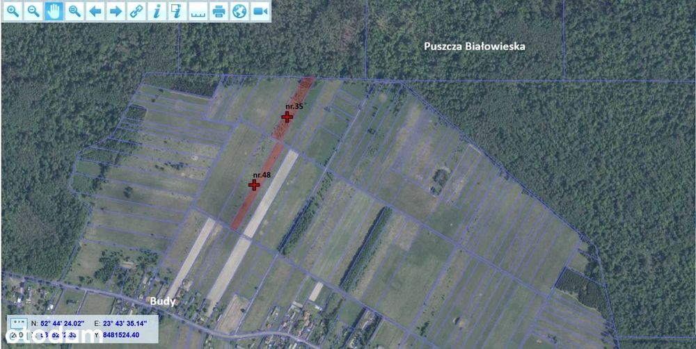 Własne Miejsce W Puszczy Białowieskiej–Cisza, Natura I Off-Grid 0,56Ha