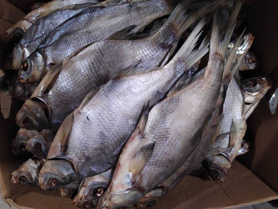 Риба сушена окунь, карась, лящ, підлящ: 140 грн. - Продукти харчування ...