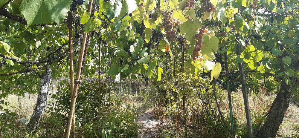 Ділянка у районі Шкільній