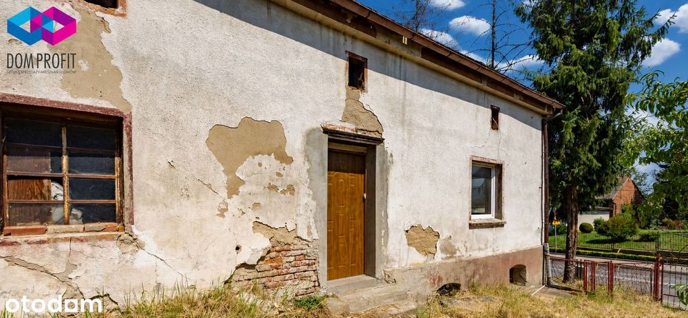 Zdjęcie 4