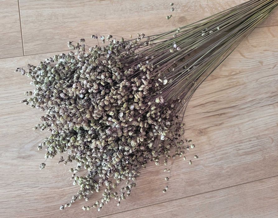 zboże, pszenica, kłosy, suszone bukiety kwiaty suszki dodatki florystyczne