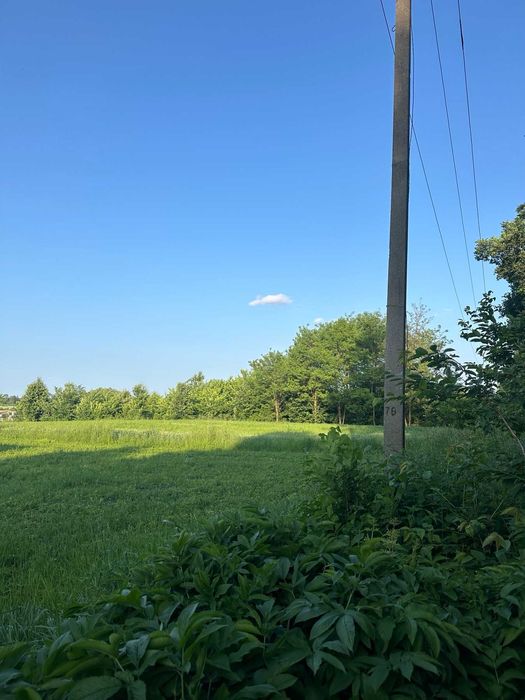 (5) Продам земельну ділянку в Лукашівці 4422