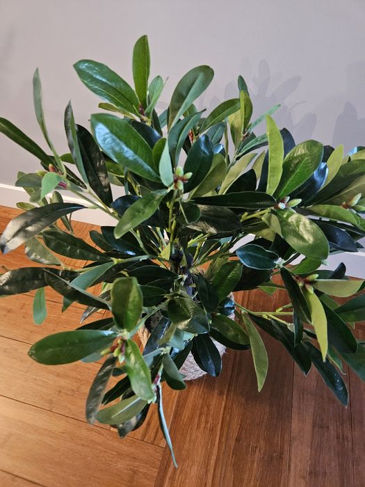 Kwiat sztuczny cynamon 75 cm