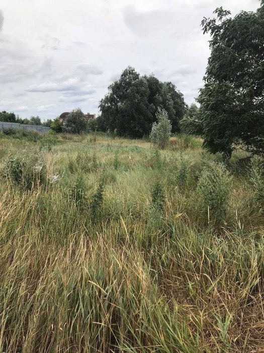 Земельна ділянка 24 сотки с.Вороньків