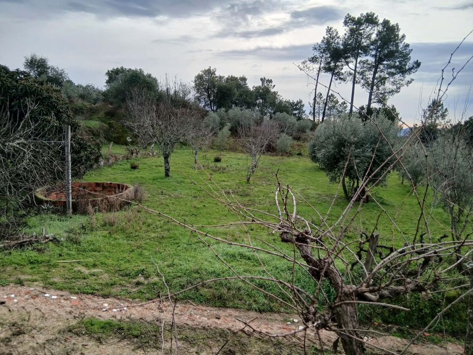 Quinta agricula com barracao