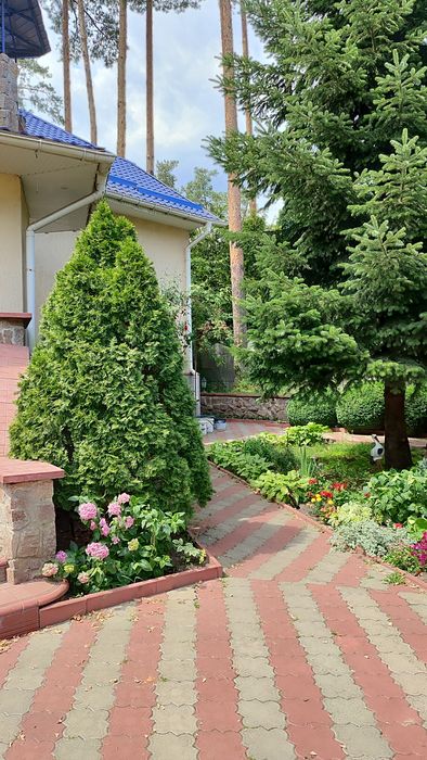 Здам в оренду кімнату в будинку для дівчини