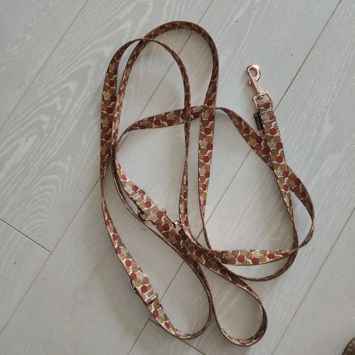 Smycz przepinania 300 cm Hołd 2cm