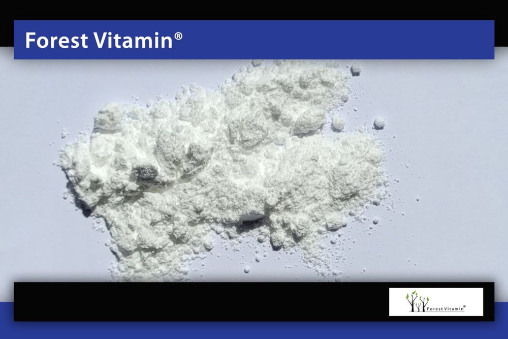 Kofeina w proszku 100% 1 Kg czysta
