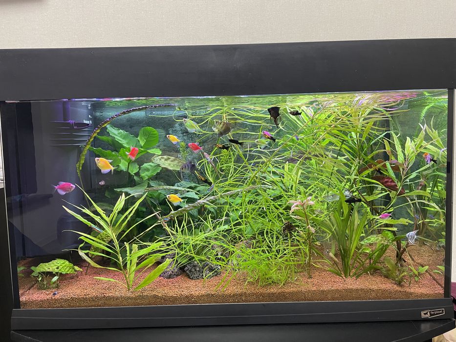 Аквариумный набор Ferplast Dubai 80 LED 125 л