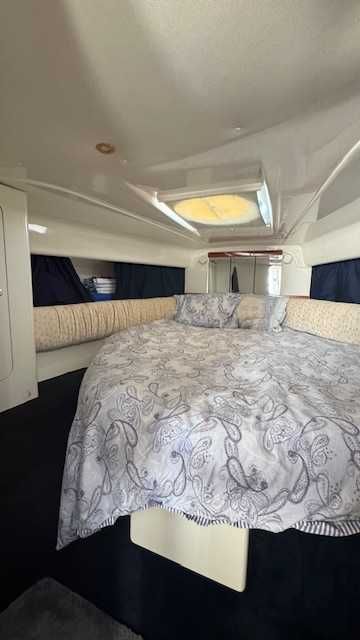 Ocasião Cranchi SAFFIRO 34