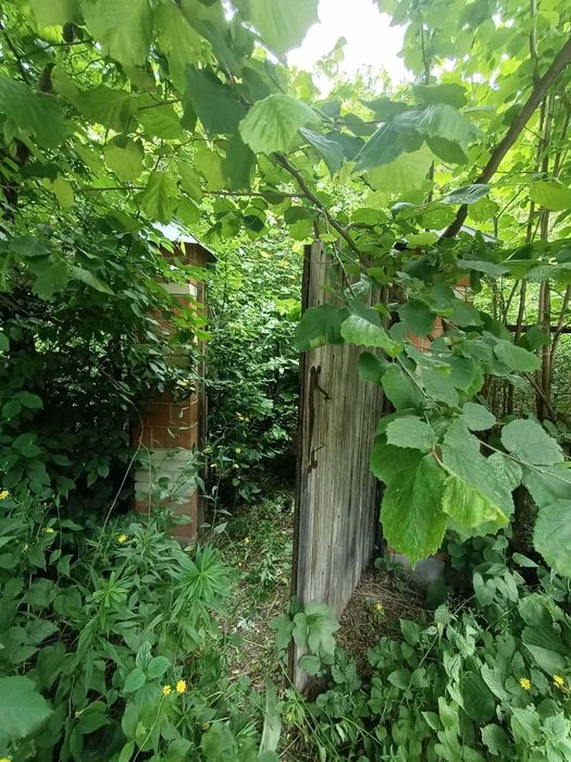 Продаж земельної ділянки в с. Загвіздя, СТ «Берізка»