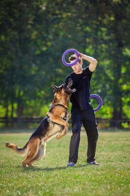 Тренувальний снаряд Puller