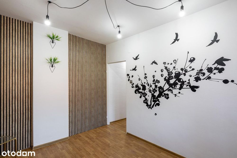 M2 w górach I Świeradów-Zdrój I Uzdrowisko I 34.45