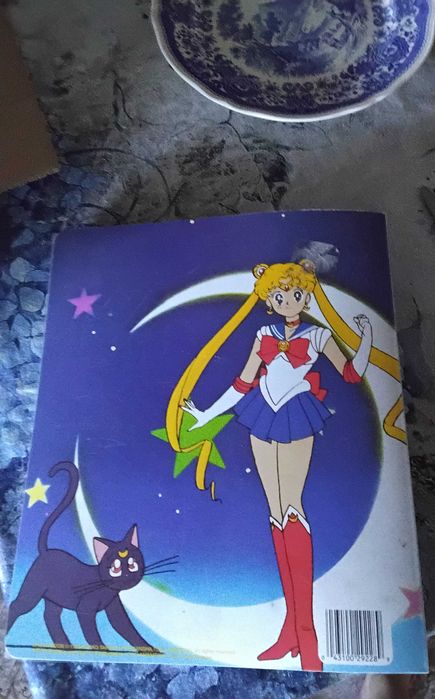 Sailor moon segregator