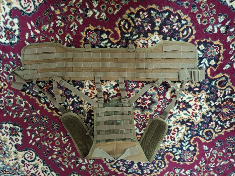 Жилет рпс p1g-tac  койот олива.