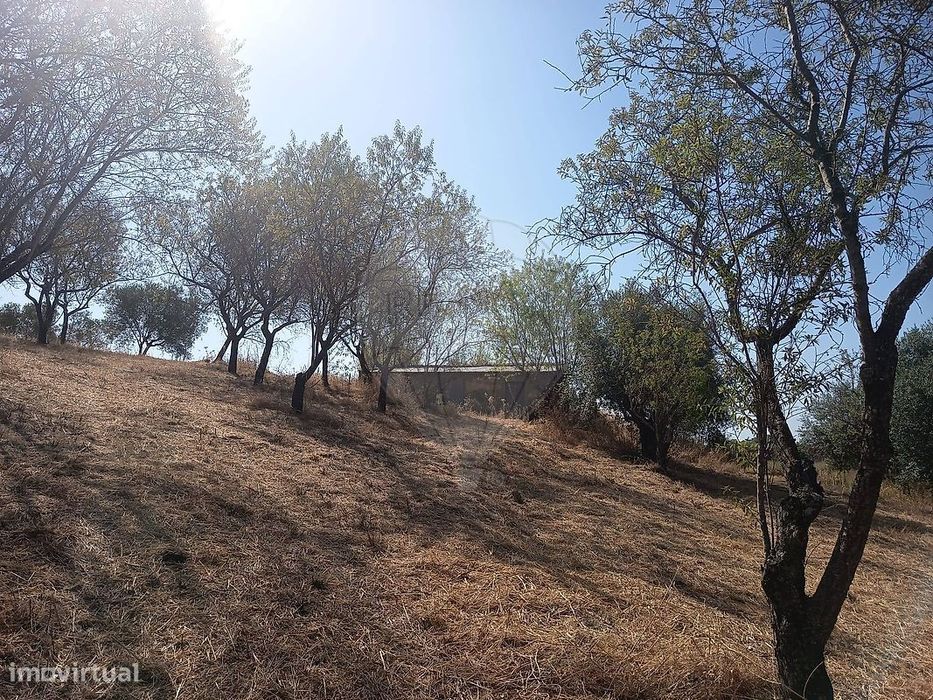 Terreno  para venda