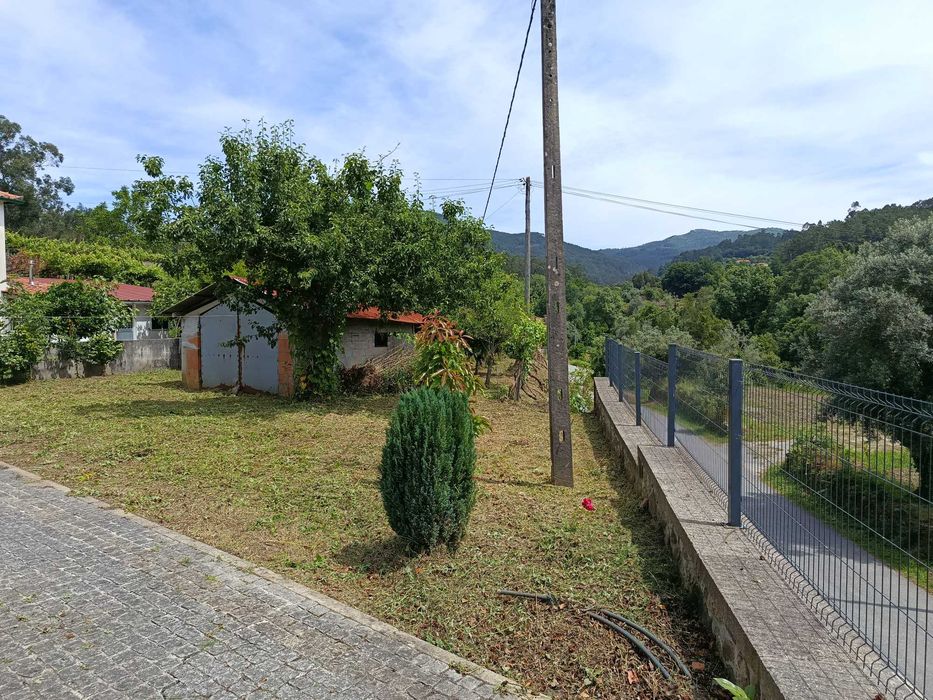 Limpeza e poda de árvores508332537462149126
