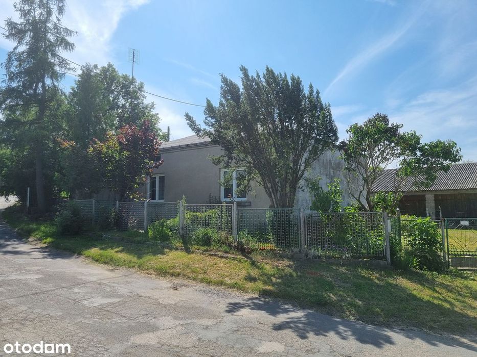 Siedlisko w bliskiej okolicy miasta