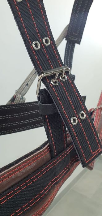 Шлея шорка Шора Европейского образца англичанка немка