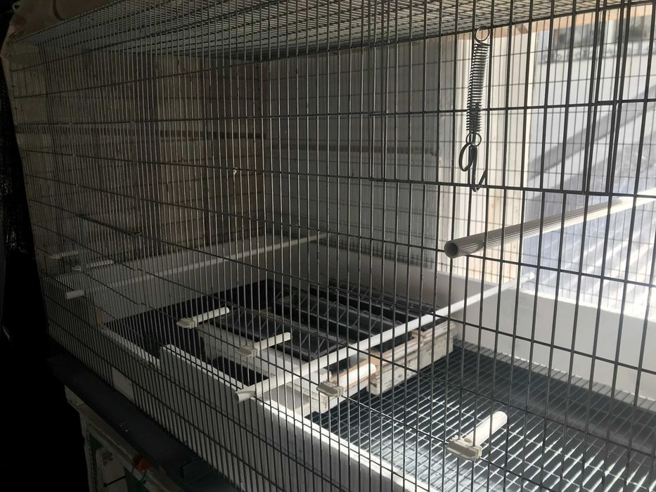 Voadeiras em bom estado zincadas, para os filhos de Canários
