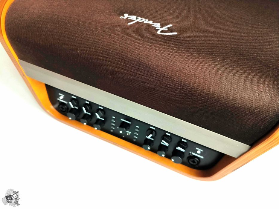 CLEARANCE -40% Fender Acoustic SFX '2021 комбо для акустичних гітар
