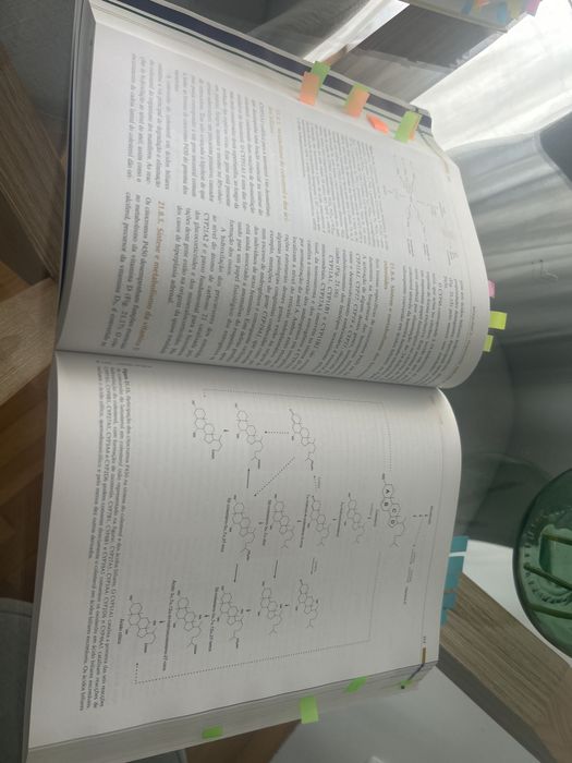 Bioquímica Organização Molecular da vida