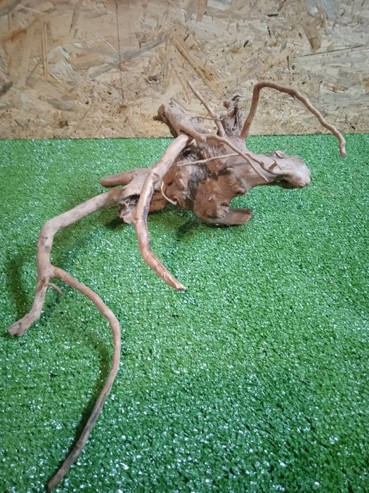 Korzeń do akwarium Red Moore Wood nr 168 o wymiarach 26/30/28