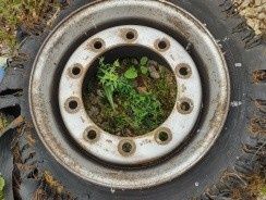 Felgi naczepowe 19.5 z oponami 6 szt