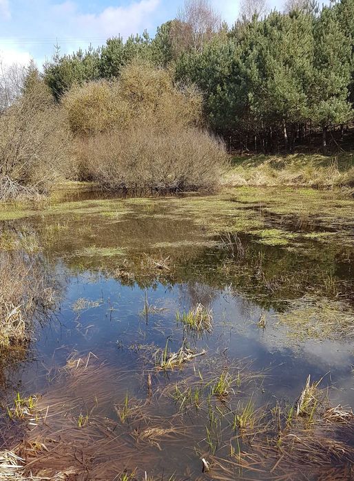Dzialka Rolno-Lesna-Woda  9,5 ha