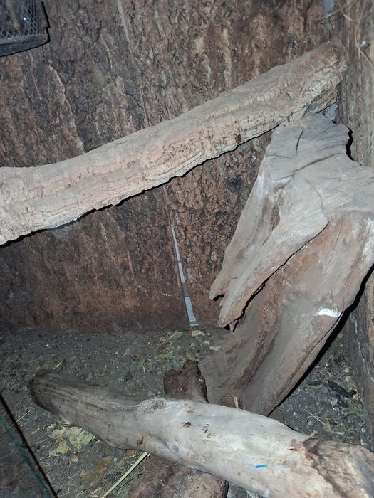 Terrarium dla zwierząt