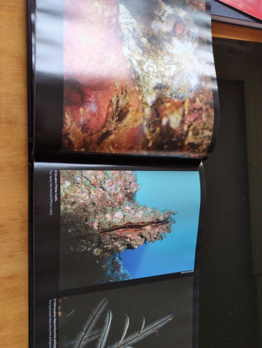 Campanha PEPC MarBis 2011