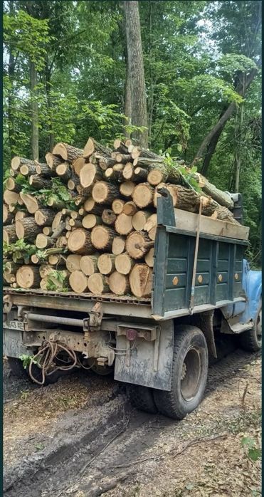 Дрова колоті Львів та Львівська обл.