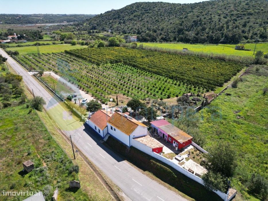 O seu refúgio no coração do Algarve: Quinta com pomar de laranjeira...