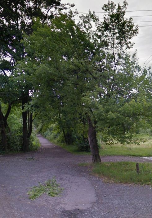 Продам ділянку ОСГ в с.Кам'яниця