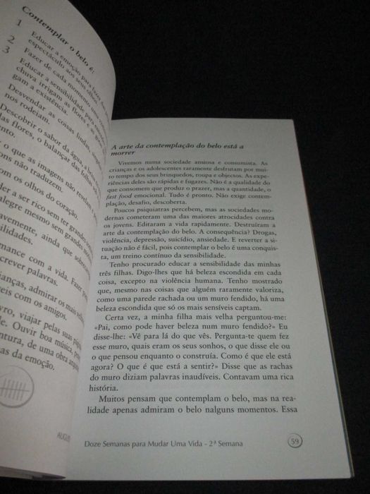 Livro Doze semanas para mudar uma vida Augusto Cury