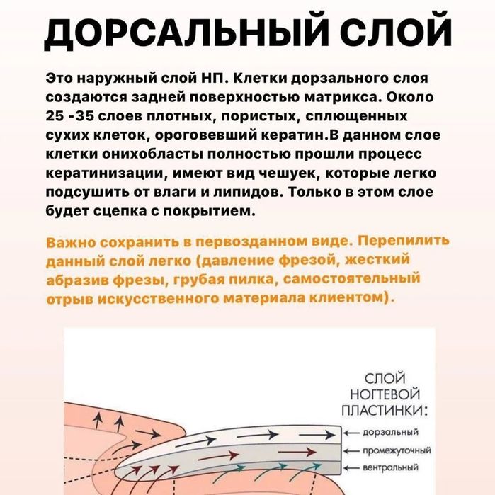 Курсы маникюра для начинающих мастеров