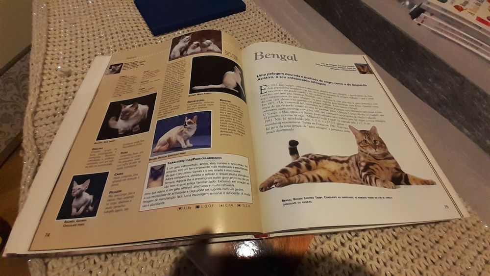 Enciclopedia do Gato