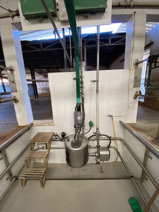 Ordenha Manus IMC 14 unidades