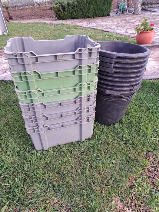 Conjunto de Caixas e Caldeirões para Vindima