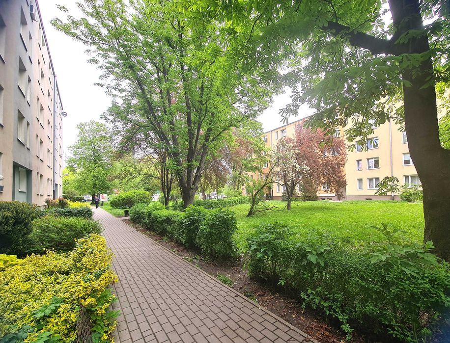 Mieszkanie – Warszawa, Osiedle Grójecka, Ochota - Widok 5
