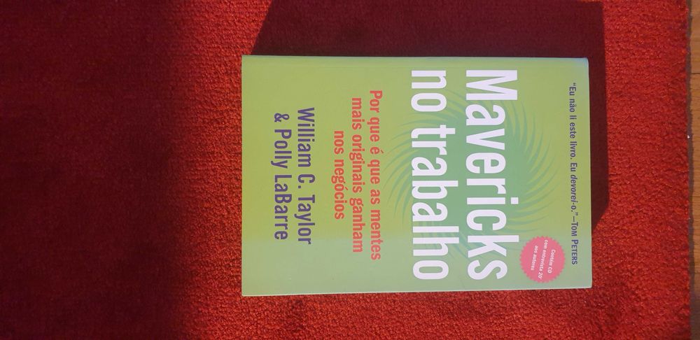 Livro Mavericks No Trabalho