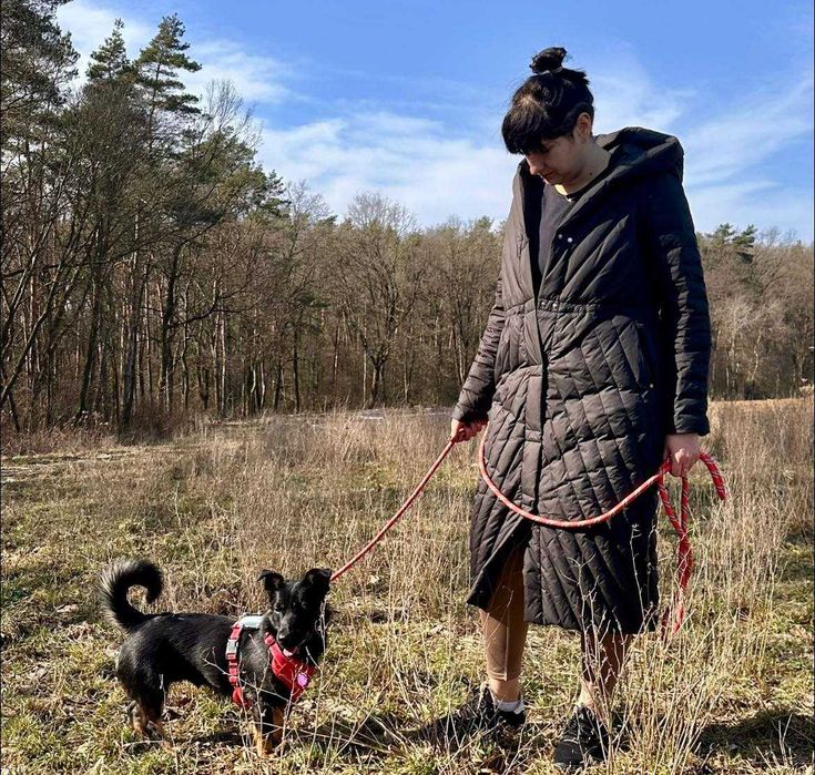 Janka - urocza sunia do adopcji!