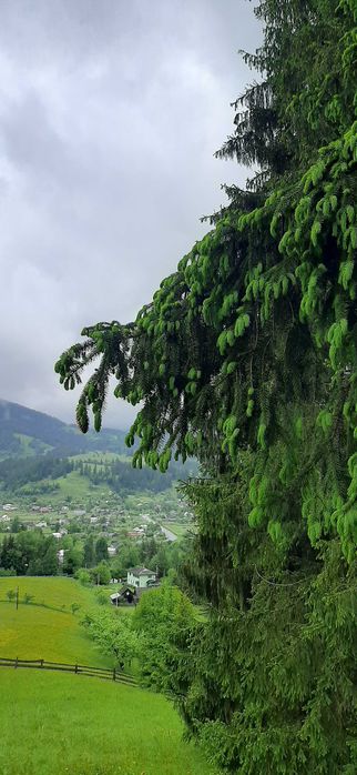 Від власника земельна ділянка під забудову!