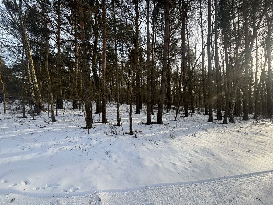 Dzialki Cieszanowice na sprzedaż